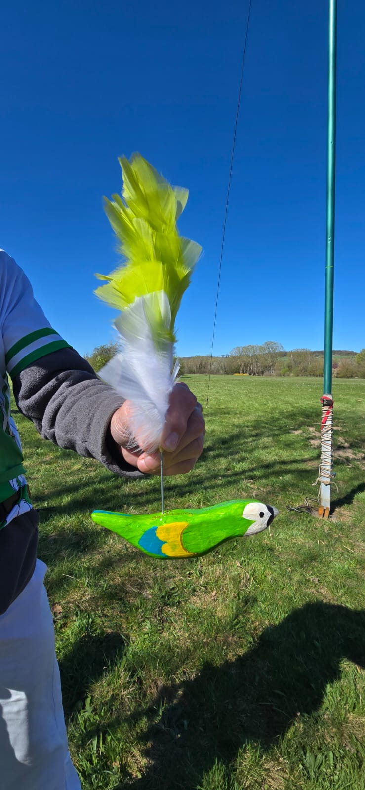 Oiseau en bois pour l’Abat de l’Oiseau
